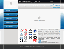 Tablet Screenshot of baskentotocam.com.tr